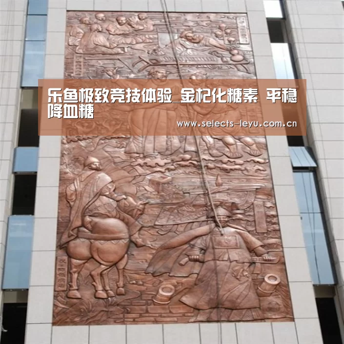 乐鱼极致竞技体验