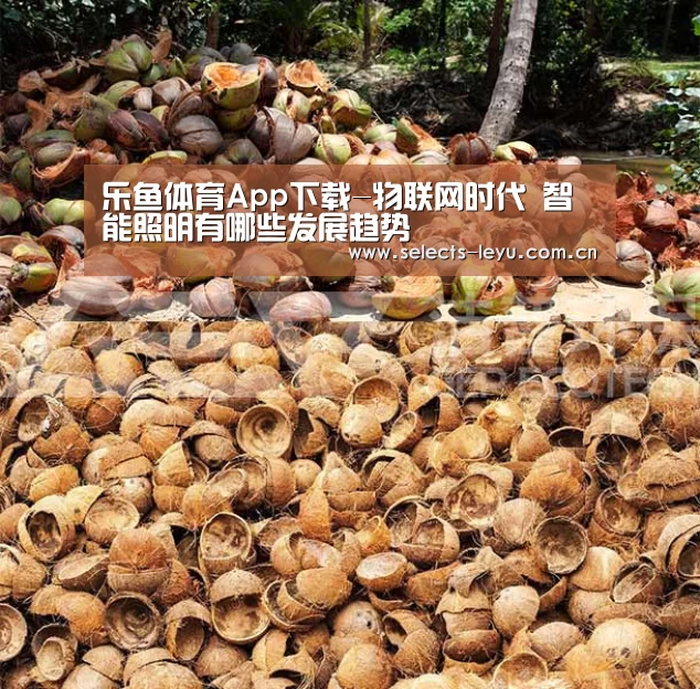 乐鱼极致竞技体验