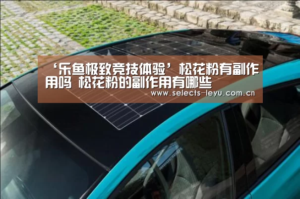 乐鱼极致竞技体验