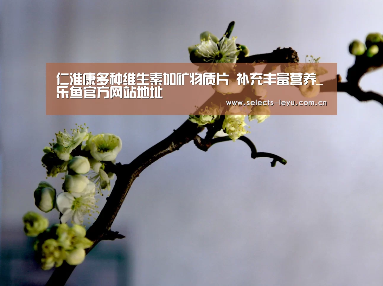 乐鱼官方网站地址