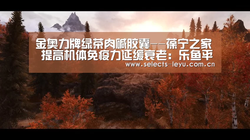 乐鱼极致竞技体验