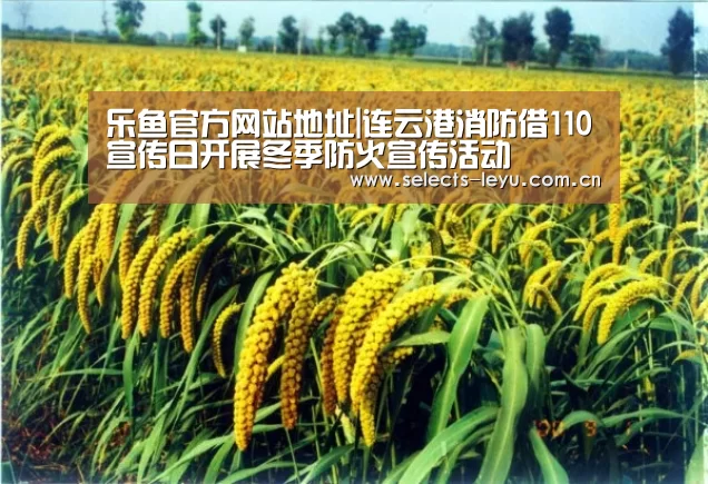乐鱼官方网站地址