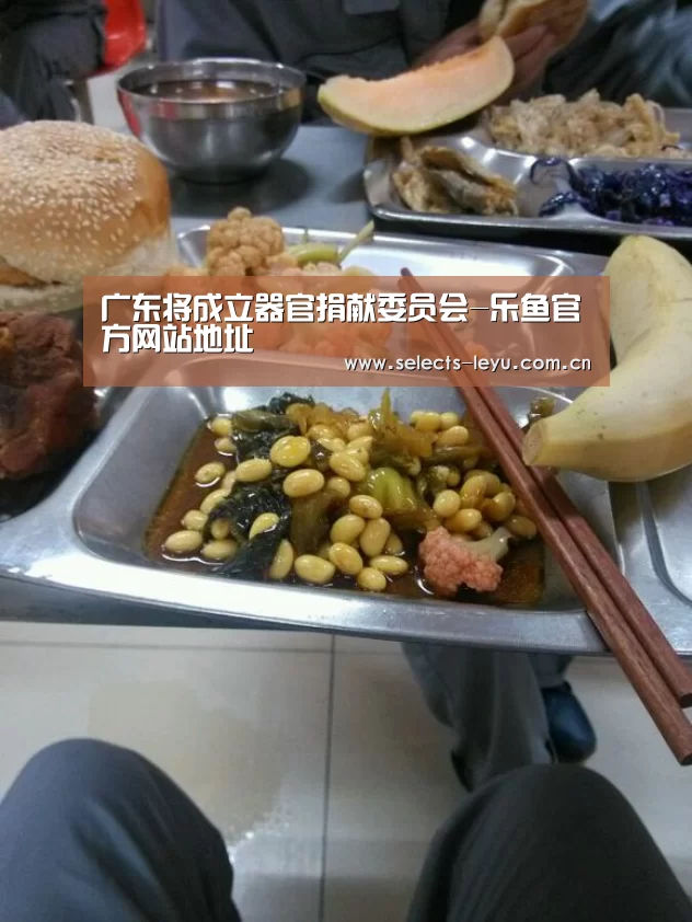 乐鱼平台最新版本