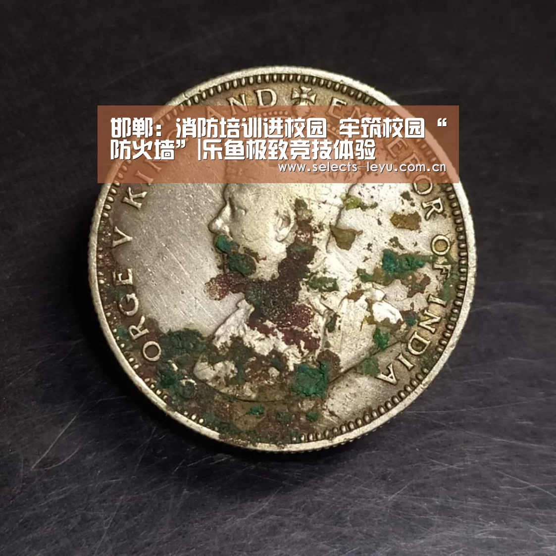 乐鱼极致竞技体验