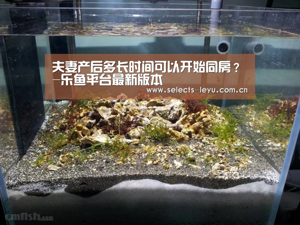 乐鱼官方网站地址