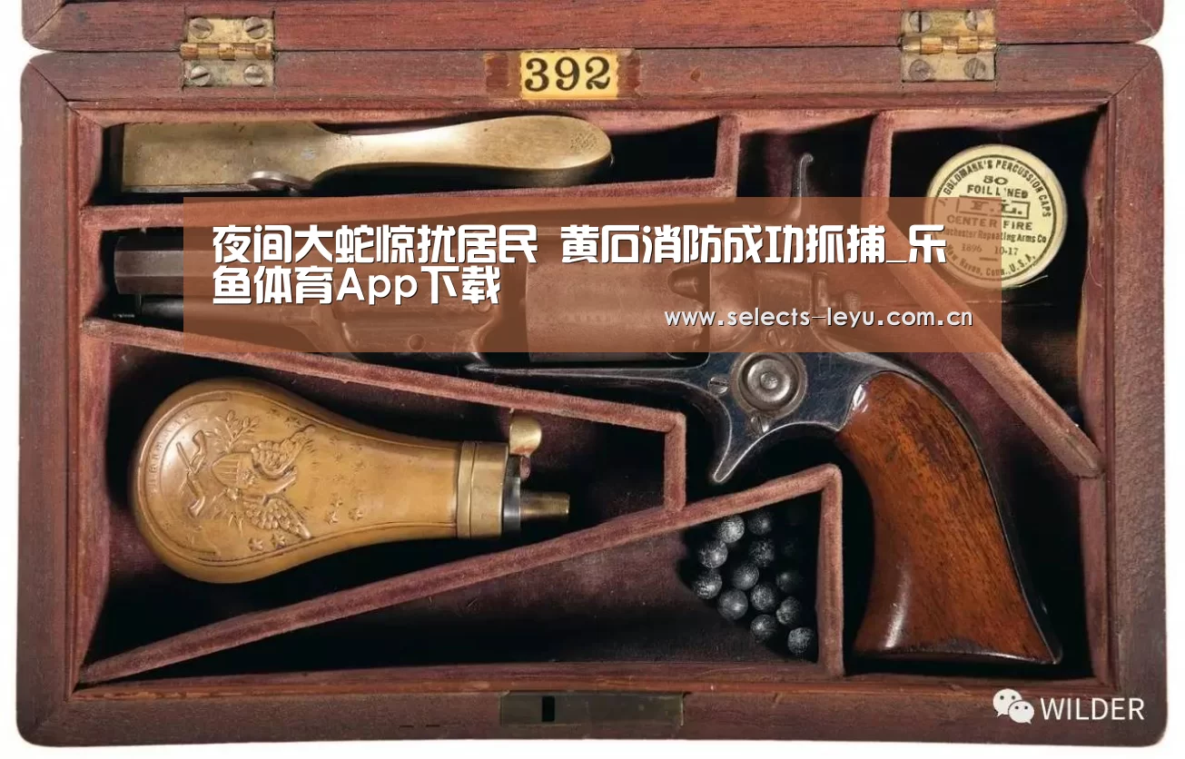 乐鱼极致竞技体验